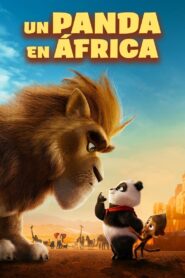Un panda en África