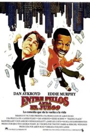 De mendigo a millonario