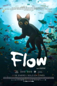 Flow