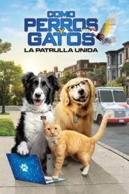 Como perros y gatos 3: Patitas unidas