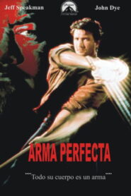 El arma perfecta