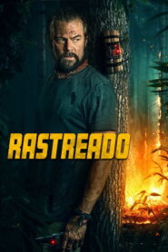 Rastreado