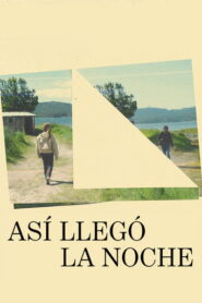 Así llegó la noche